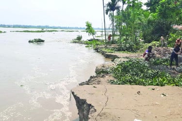 ভাঙছে নদী, বিলীন হচ্ছে বসতি