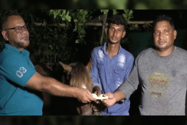 অন্ধ ঘোড়াকে আশ্রয় দেওয়া সাতক্ষীরার সোহানের পাশে প্রধানমন্ত্রী