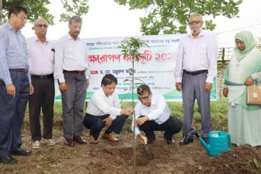 বারিতে বৃক্ষরোপণ কর্মসূচির উদ্বোধন