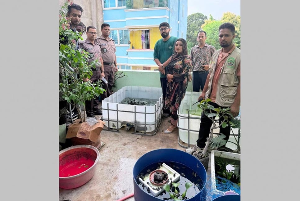 রাজধানীতে অভিযান : ১১০৪ বিদেশি বন্যপ্রাণী উদ্ধার, একজন গ্রেফতার