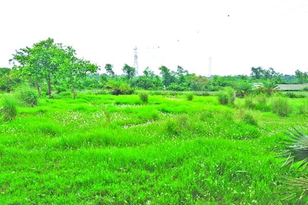 বাগেরহাটের ২৬ নদী মরে এখন সরু খাল