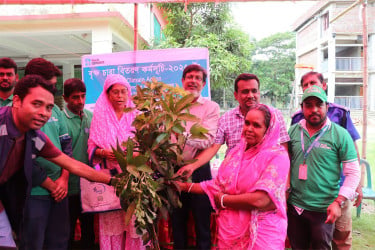 কলাপাড়ায় ২৬০ জনকে গাছের চারা বিতরণ