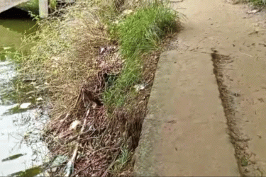 মতলবে দুই মাস ধরে গ্যাস পাইপলাইন লিকেজ, আতঙ্কে এলাকাবাসী