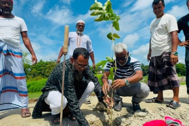 সোনারগাঁয়ে এমপি মান্নানের উদ্যোগে ১ হাজার গাছের চারা রোপণ