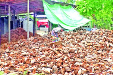 নারকেল ছোবড়ায় কোটি টাকার হাসি