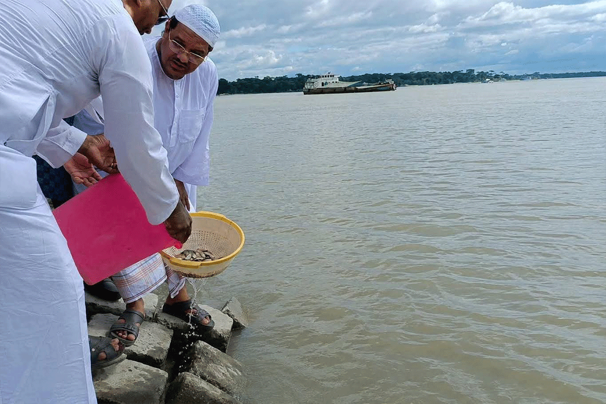 মৎস্য পোনা অবমুক্ত করলেন চরমোনাই পীর