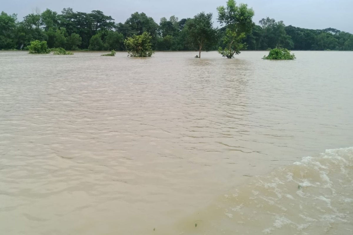 চট্টগ্রামের বন্যায় মৎস্য খাতে ১০৯ কোটি টাকার ক্ষতি, বিপাকে প্রায় ১০ হাজার চাষি