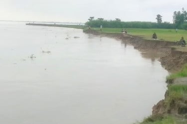 সারজিস আলম