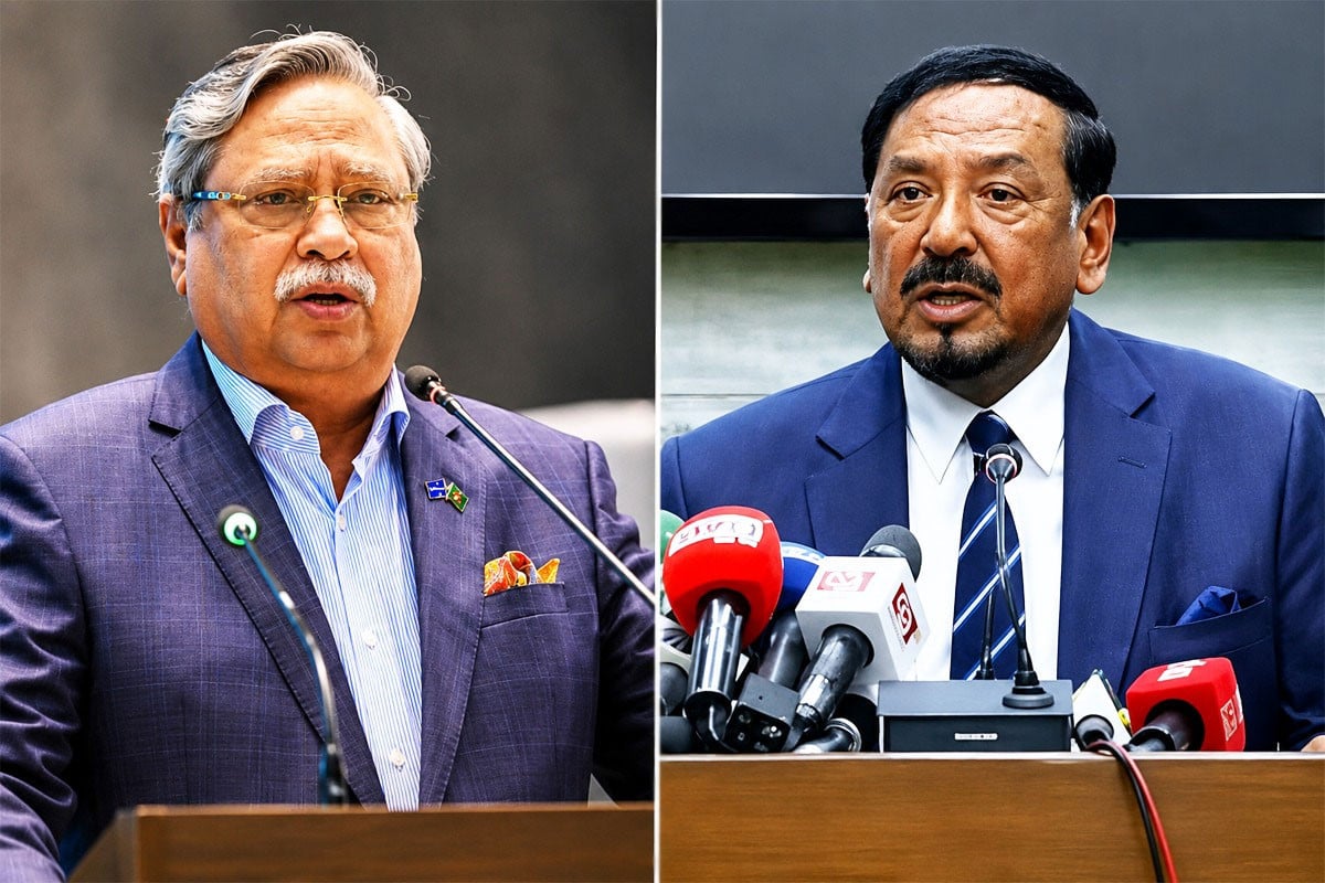 রাষ্ট্রপতির পদত্যাগ, ভারপ্রাপ্ত রাষ্ট্রপতি হাফিজ উদ্দিন আহমদ