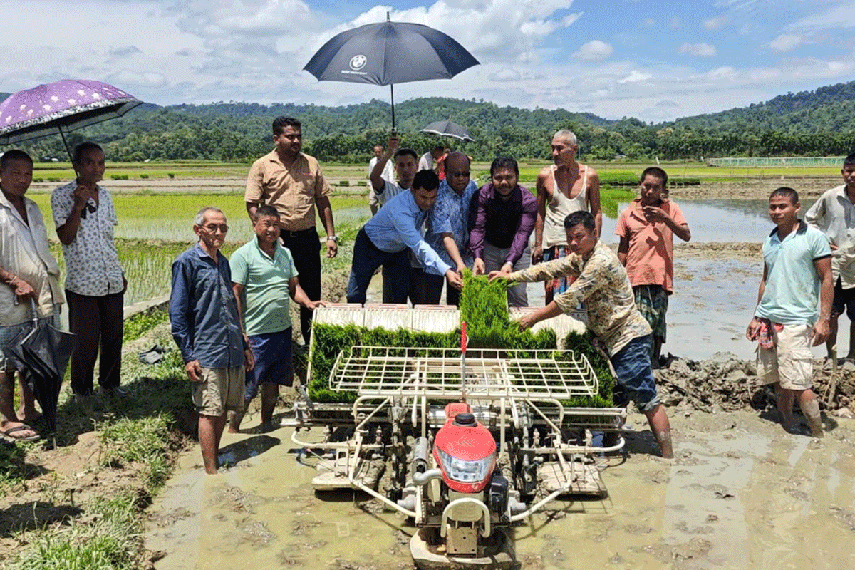 খাগড়াছড়িতে যান্ত্রিক পদ্ধতিতে আমন ধানের চারা রোপণ শুরু