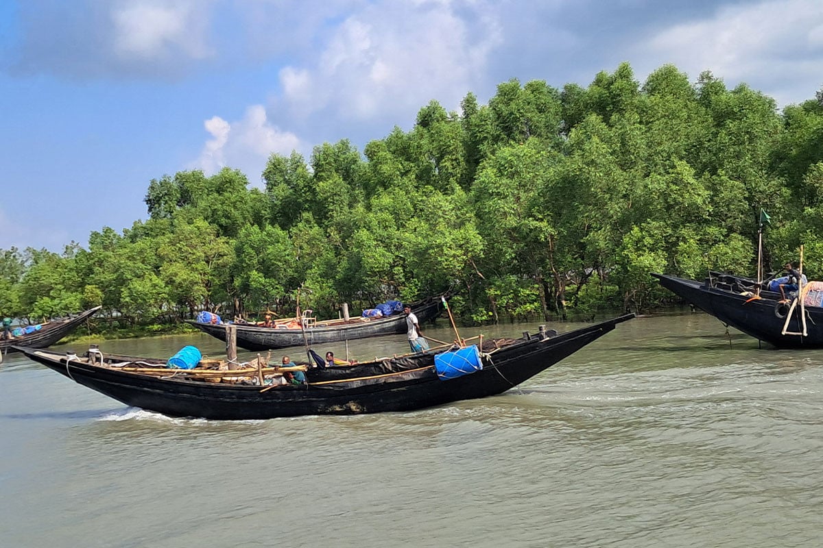 সুন্দরবনে জেলেবহরে বনদস্যুদের হানা, ট্রলারসহ ৫ জেলে অপহরণ | | বাংলাদেশ প্রতিদিন