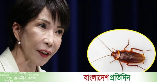 আমি এতোটাই একা যে তেলাপোকার সাথে সখ্য গড়েছিলাম: তাকাইচি - bd