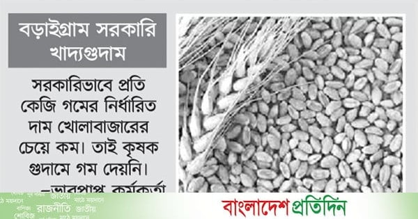 চার মৌসুম শূন্য গম সংগ্রহ