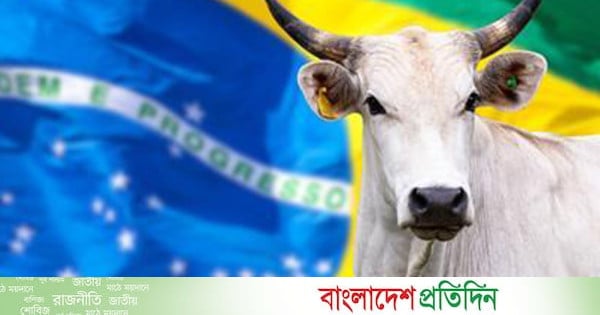 ব্রাজিলের গরুর মাংসে ৫৫ শতাংশ অতিরিক্ত শুল্ক বসাচ্ছে চীন