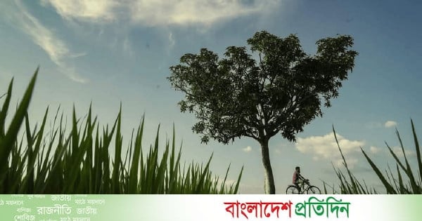 লালমনিরহাটে কুয়াশা ও হিমেল হাওয়ায় শীতের আগমনী বার্তা
