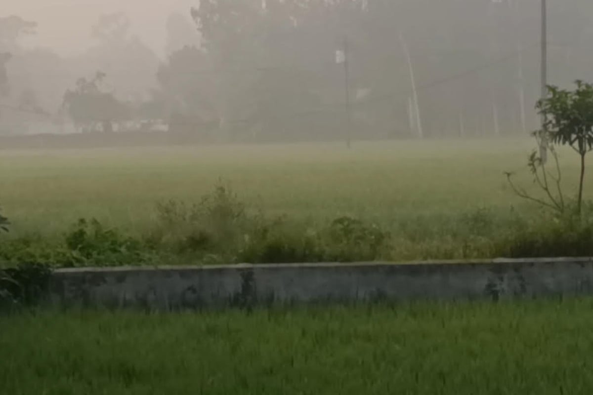 কুড়িগ্রামে ঘন কুয়াশা, শীতের আগমনী বার্তা