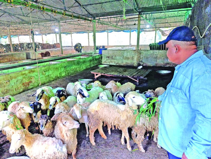 মাছ মাংস দুধ ডিমের রাজ্য