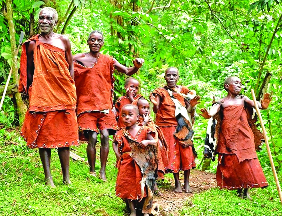 পিগমি জাতি