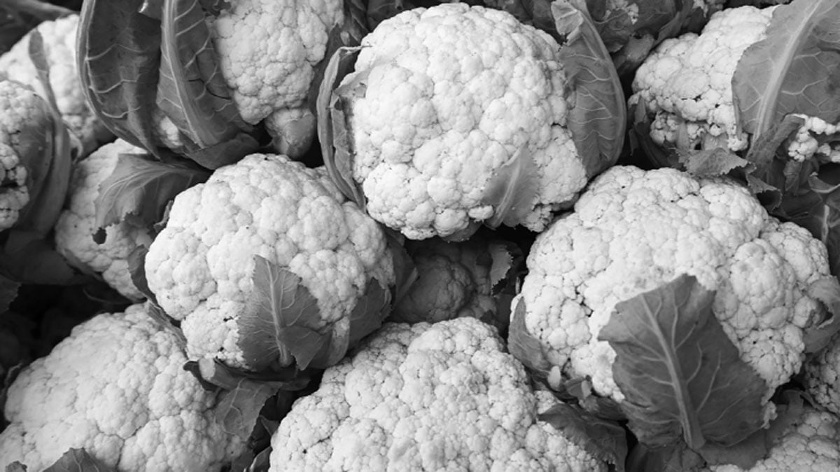 জৈবকৃষির সম্ভাবনায় জেগে ওঠা এক গ্রাম