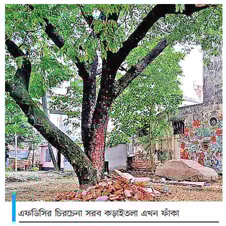 আলোর ঝলকানি