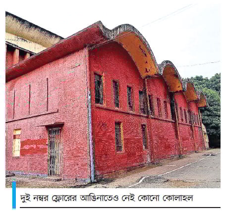 আলোর ঝলকানি