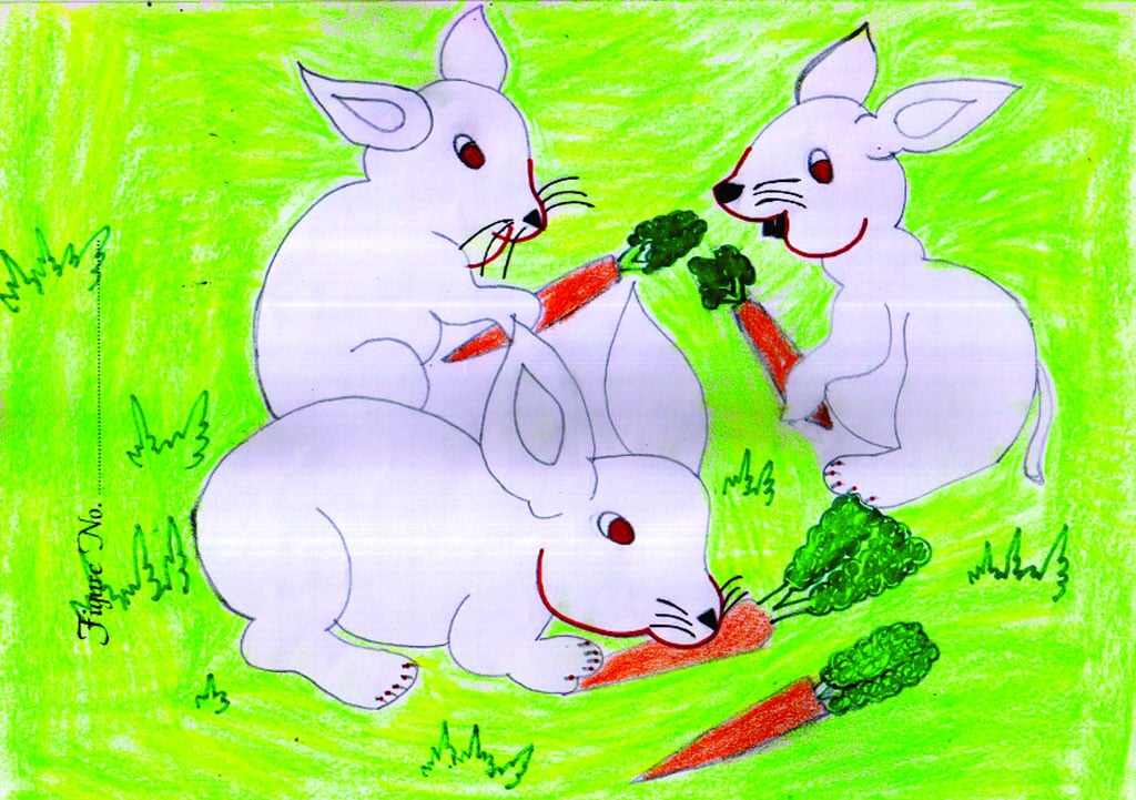 নীপা
