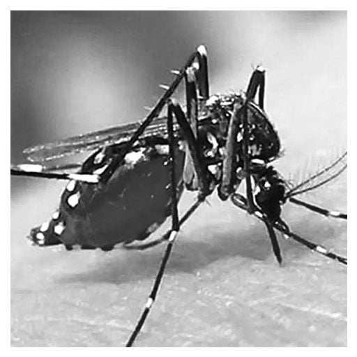 মহামারি