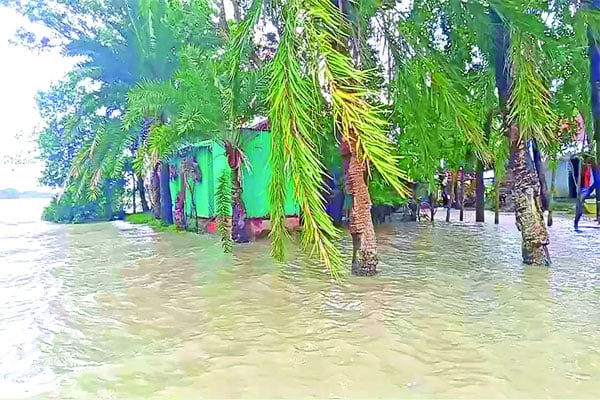 নোয়াখালীতে লোকালয়ে ঢুকছে পানি। তলিয়ে গেছে বসতবাড়ি - বাংলাদেশ প্রতিদিন