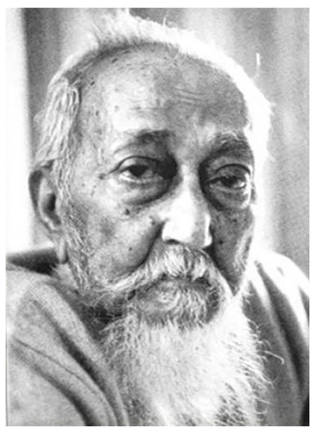 জাতীয় অধ্যাপক আব্দুর রাজ্জাক 