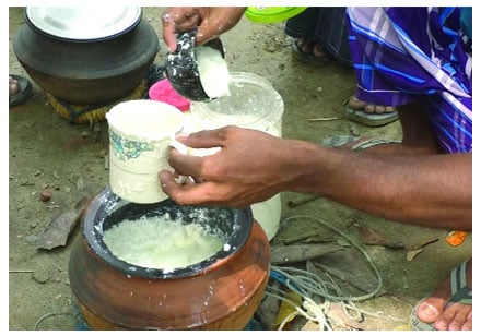 কৃষক