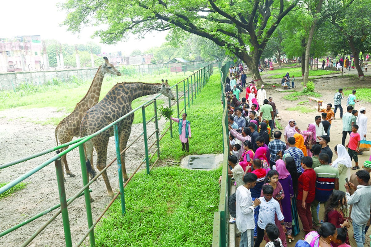 চিড়িয়াখানায় দর্শনার্থীর ভিড় -জয়ীতা রায়