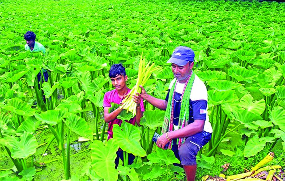 জীবন 