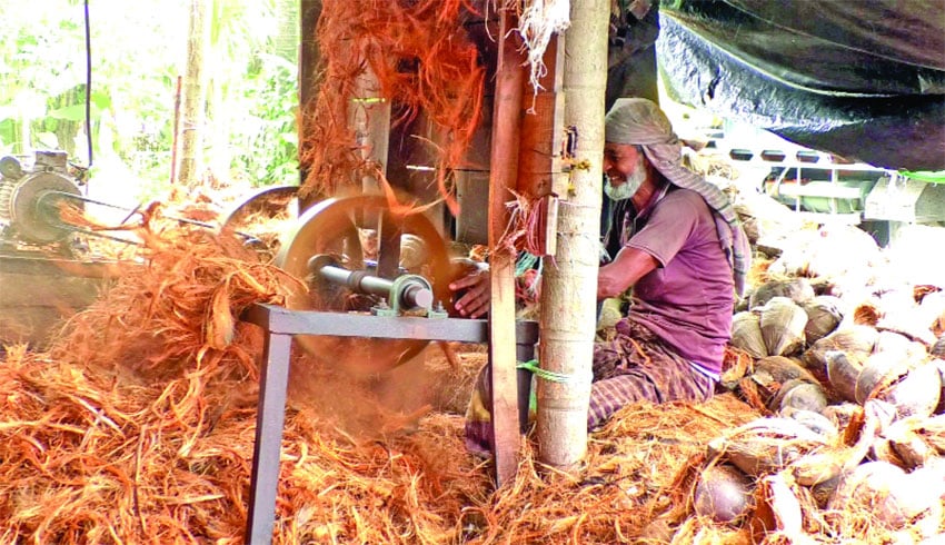 নারকেল ছোবড়ায় কোটি টাকার হাসি