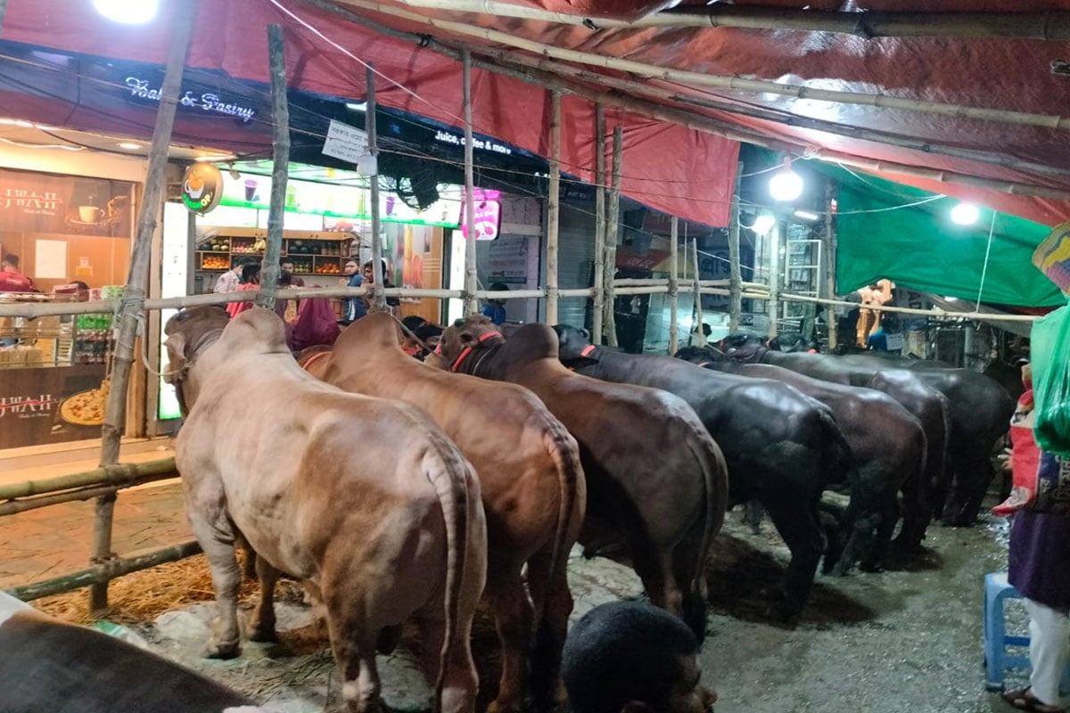 বুধবার সন্ধ্যায় রাজধানীর শনির আখড়া হাট থেকে ছবিটি তোলা