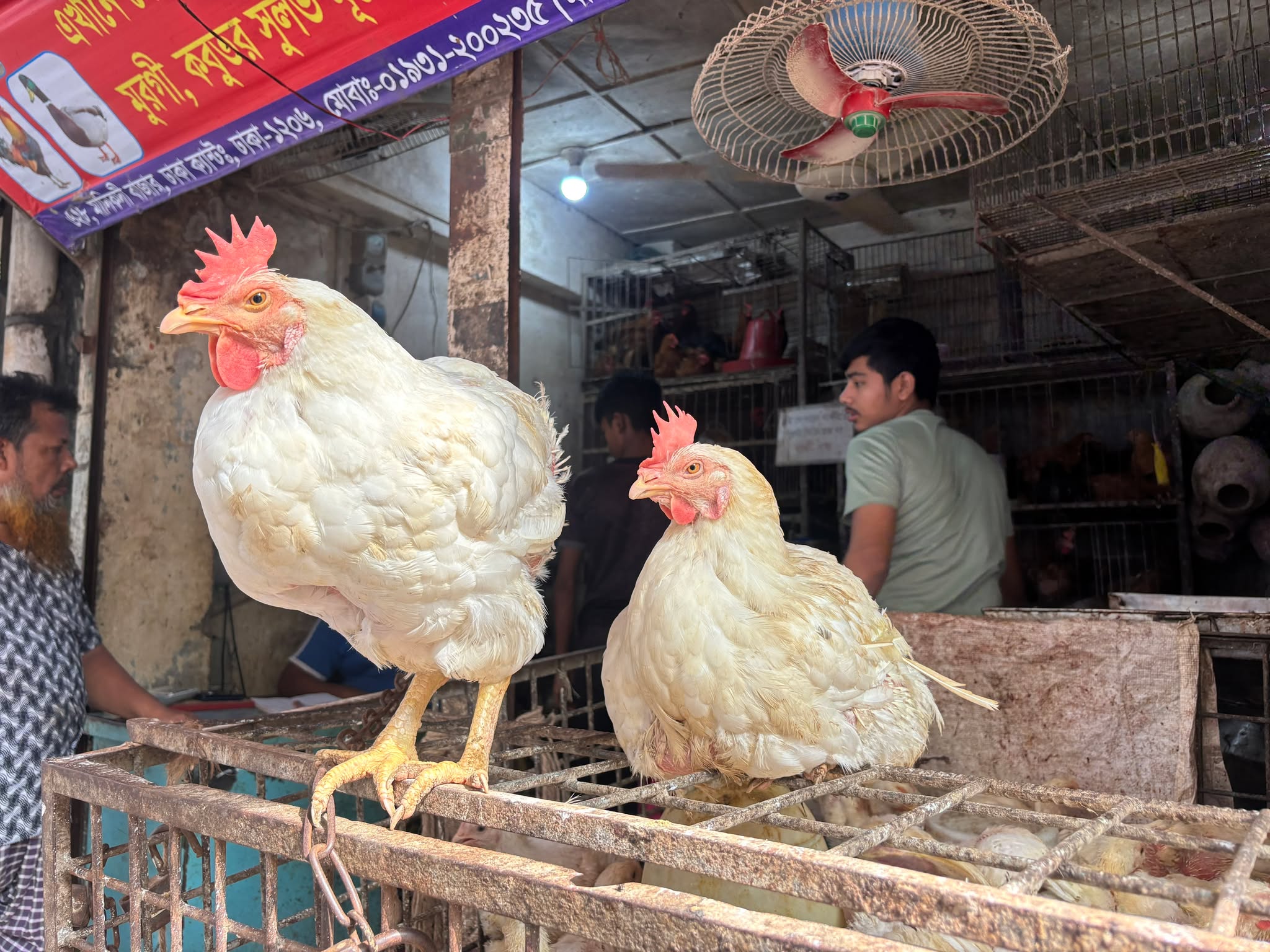 ভগসগ