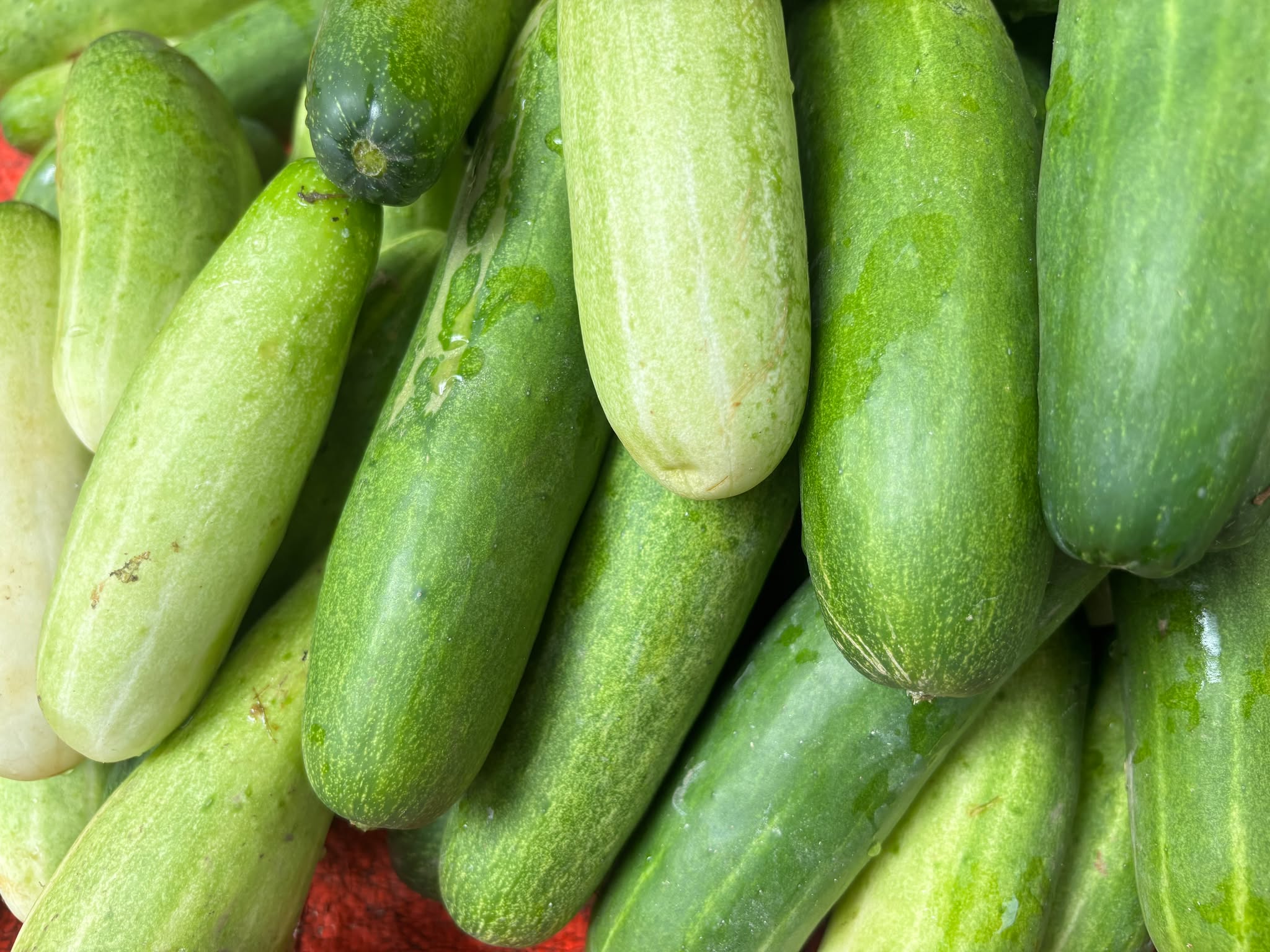 গসগাজ্ঞা