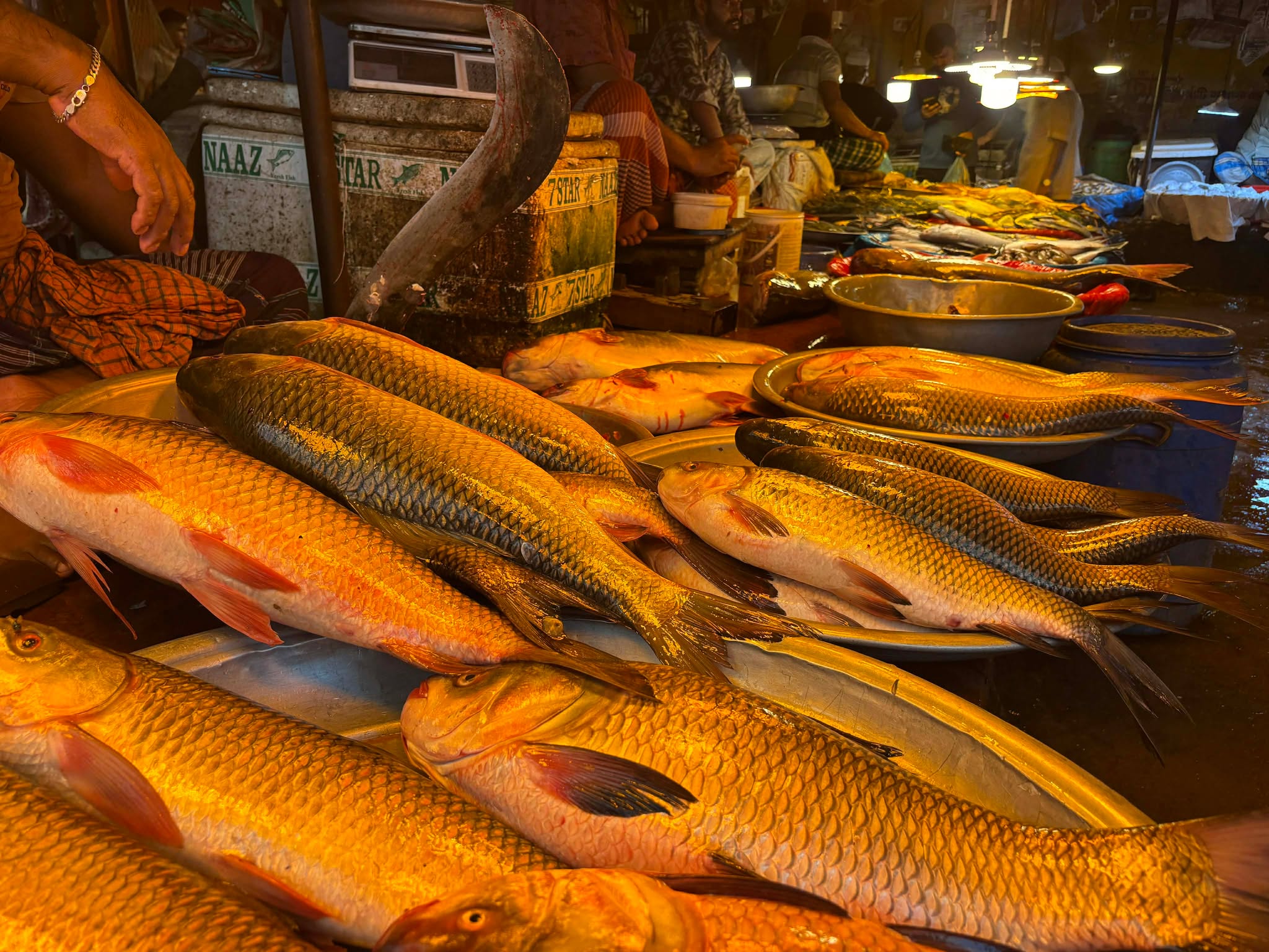 ভবযক্সবক্সব