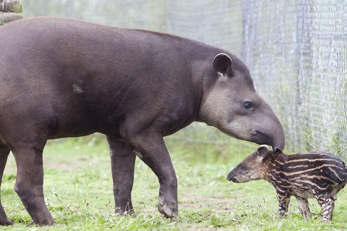 দজদজদজদজদজদজদজ